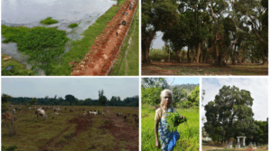 Reclaiming the commons