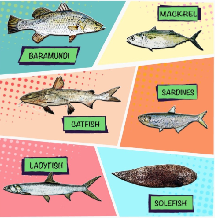 Snippets from the project website which is available in four regional languages – Kannada, Gujarati, Malayalam and Marathi.