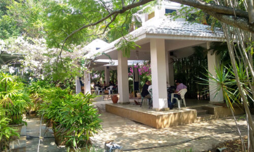 Retreats Urban Biodiversity