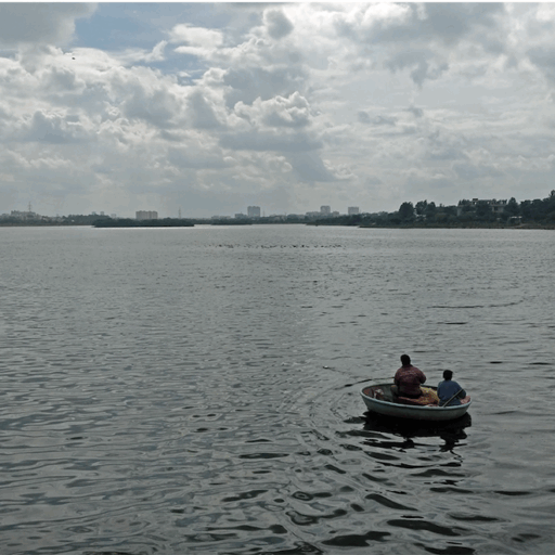 The Why and How Article 8