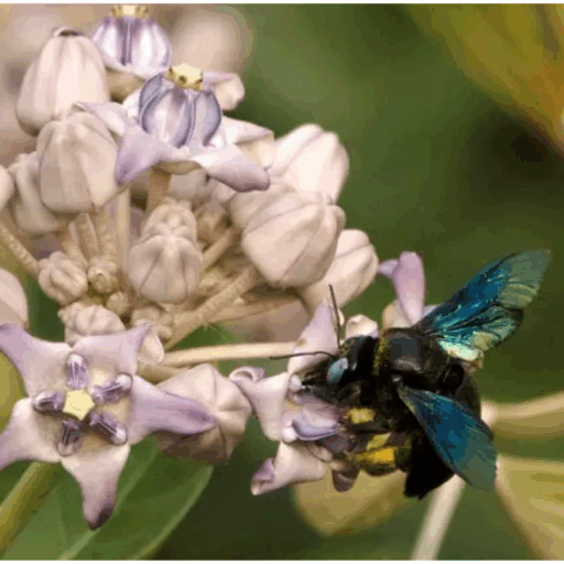 The Why and How_Article 4