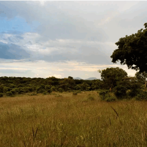 The Why and How_Article 5