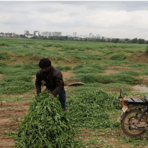 The Why and How_Article 7